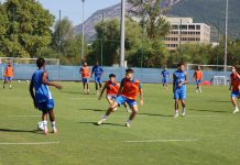 GF38. Franck Rizzetto a-t-il trouvé son « 15-type » ?